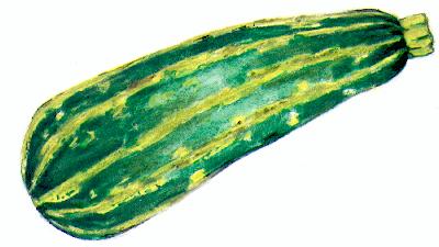 [courgette.jpg]