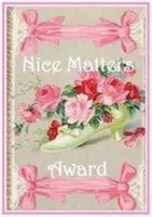 [nice-matters-award-from-liza.jpg]