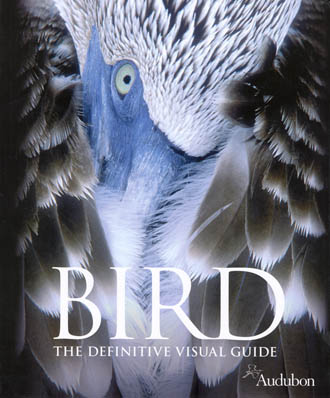 [BirdDefinitiveGuide.jpg]