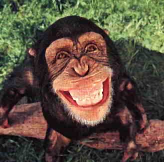 [macaco+feliz+(1).jpg]