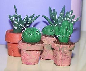 [cactus1.JPG]