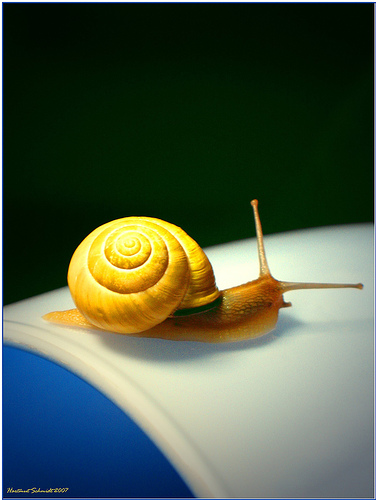 [snail+mail.jpg]