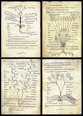 4 plant images from 10th cent. Pseudo-Apuleius herbal