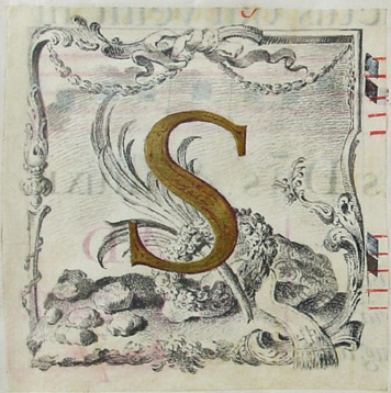 Àlbum factici amb caplletres ornamentades - the letter S
