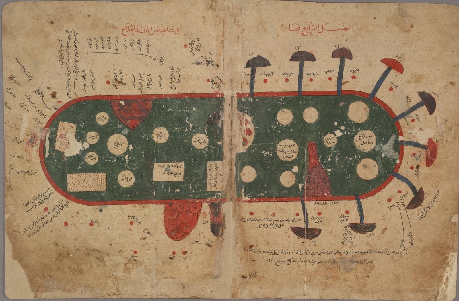 Indian ocean map - 11th century Book of Curiosities