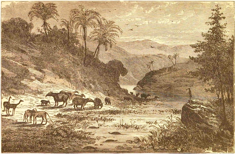 Landscape of the  Eocene Period