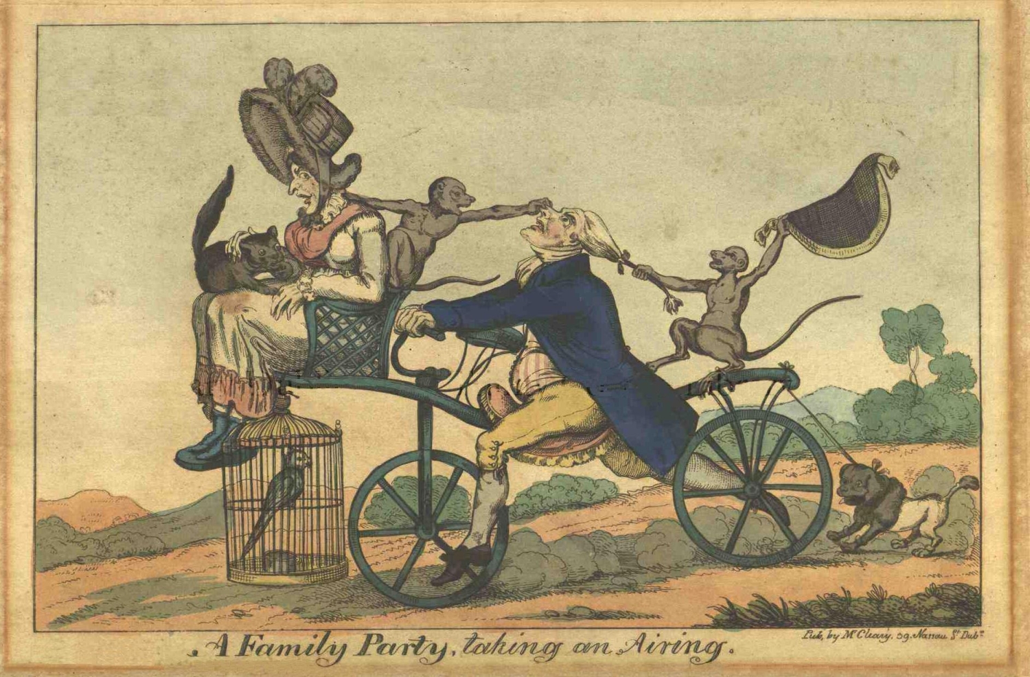 Irish satire 19th century