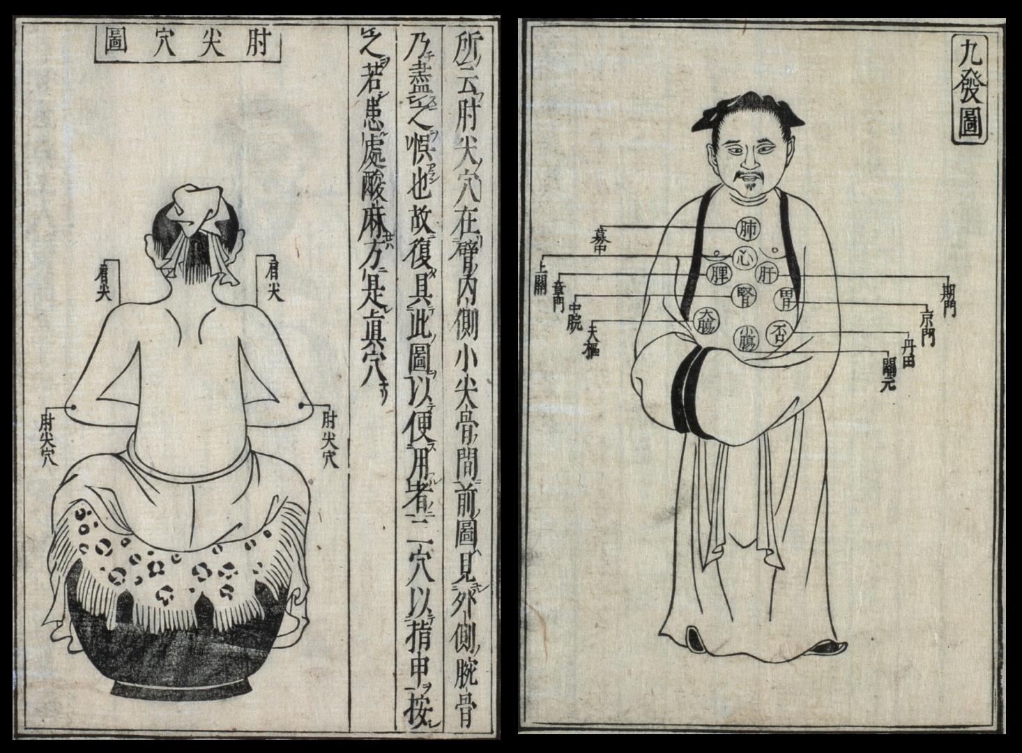 Japanese rare medical text bodily schematics