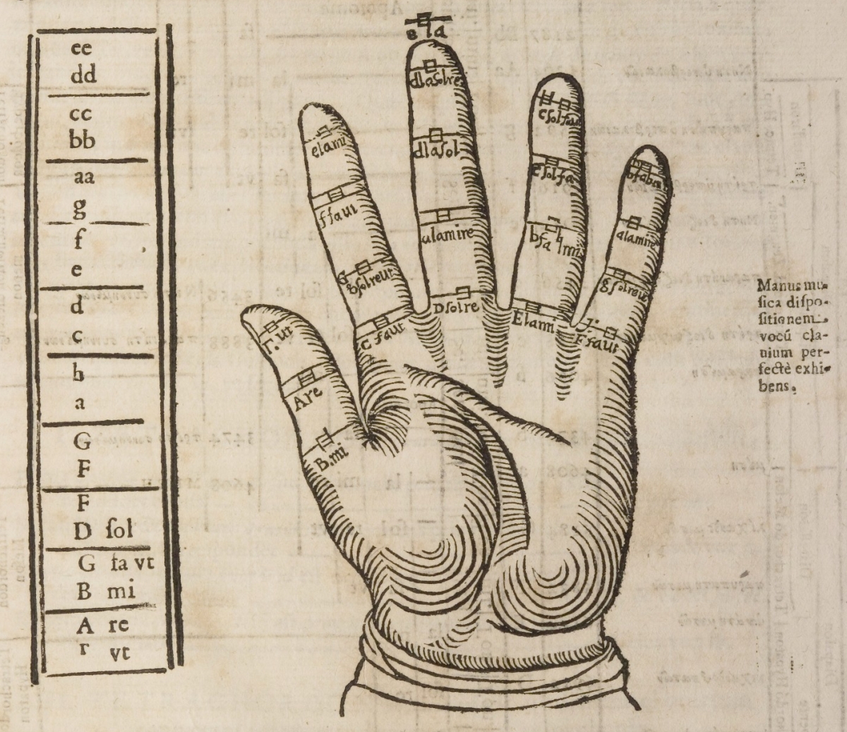 mnemonic device - Guidonian hand
