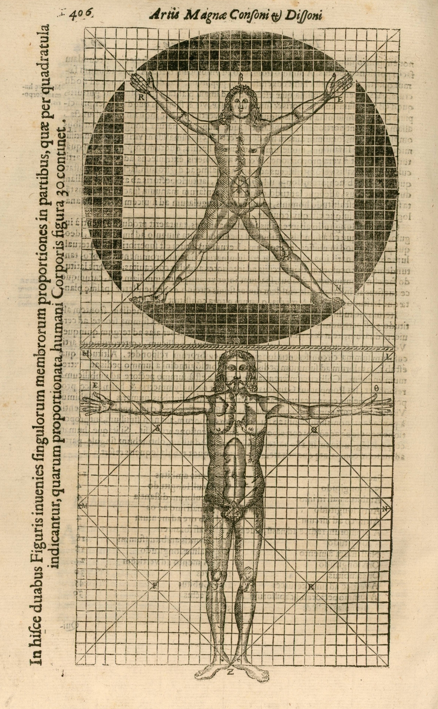 two male bodies in segmented proportions