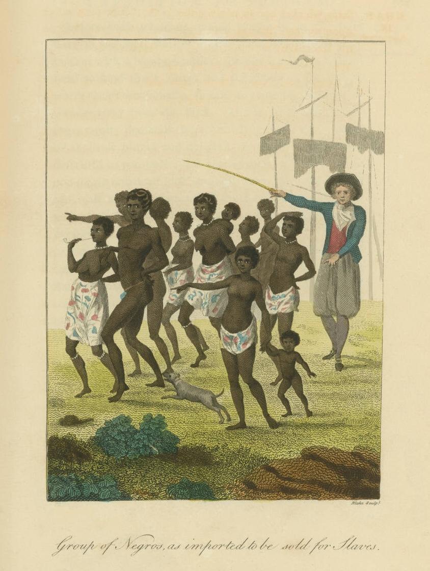 Group of Negros, as imported to be sold for Slaves
