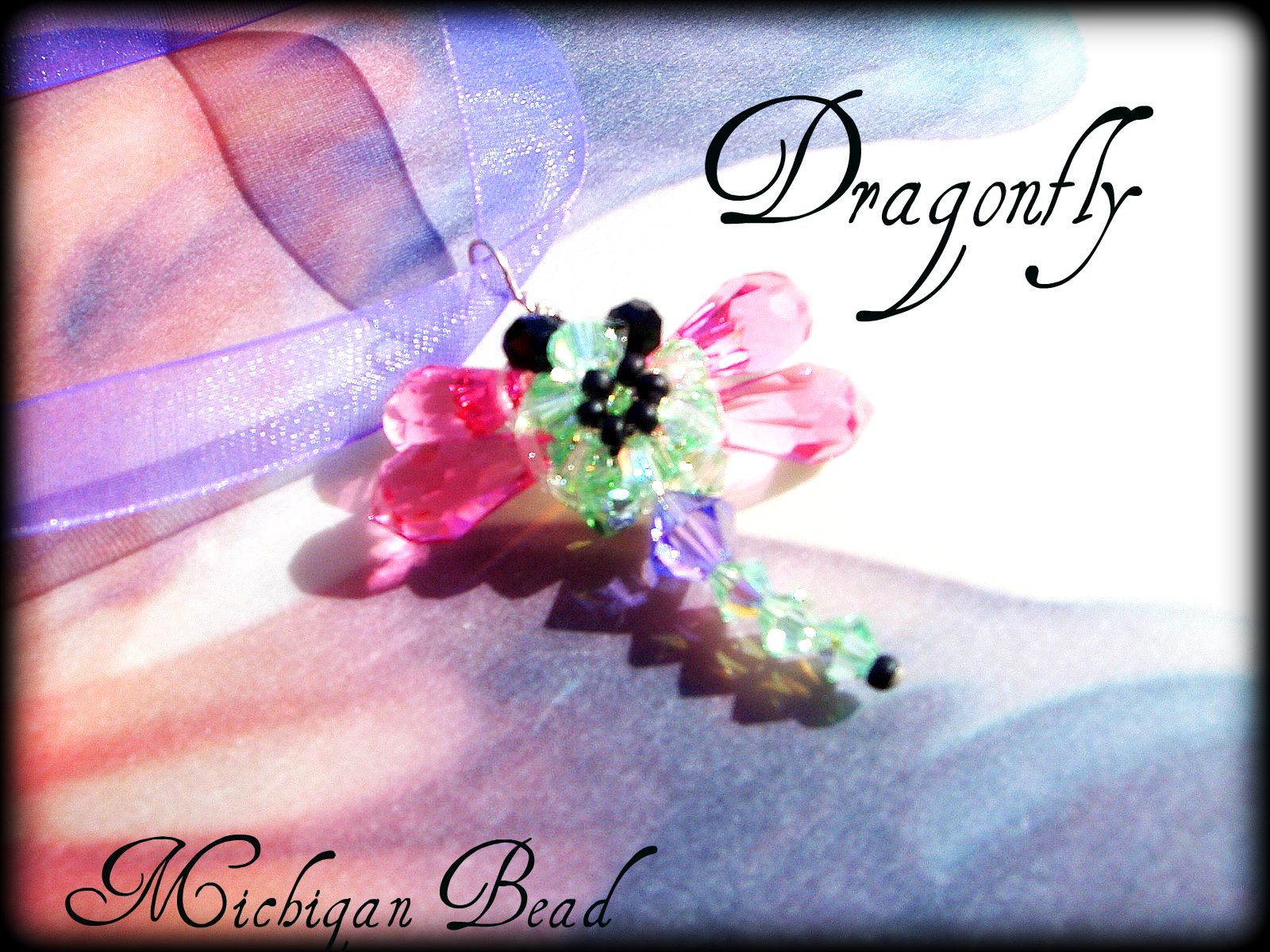 [dragonfly.jpg]