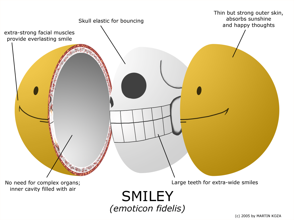 [Anatomy_of_a_Smiley_by_MK01.png]
