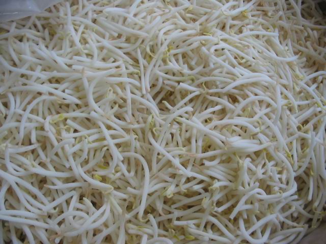 [mungbeansprouts.jpg]