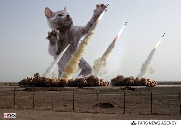 [missile_cat.jpg]