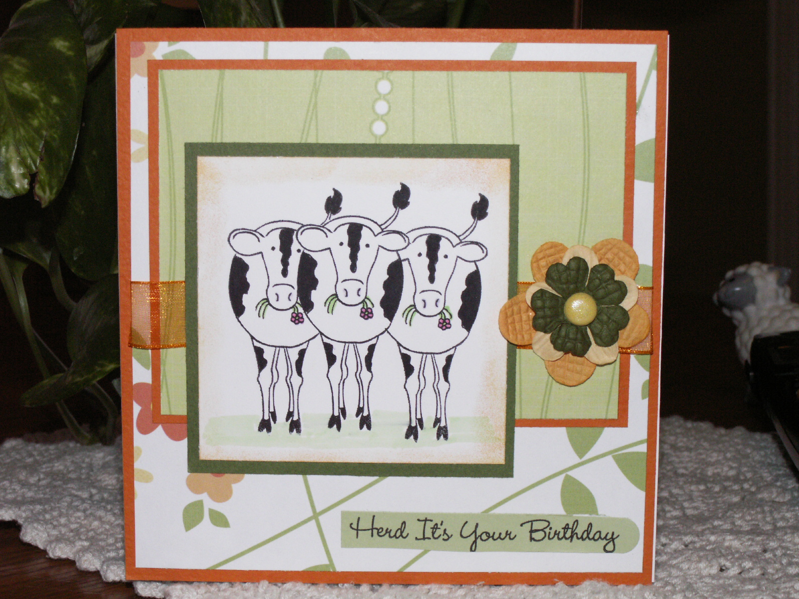 [Herd+it's+your+birthday.JPG]