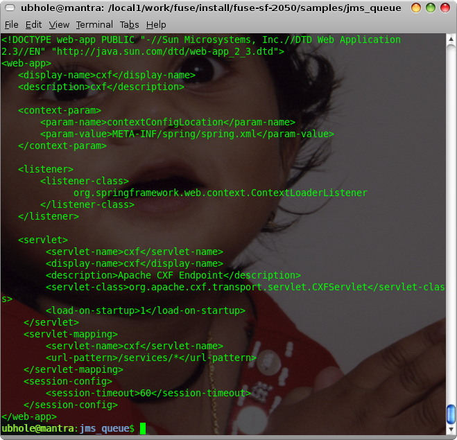 [Screenshot-ubhole@mantra:+-local1-work-fuse-install-fuse-sf-2050-samples-jms_queue.png]