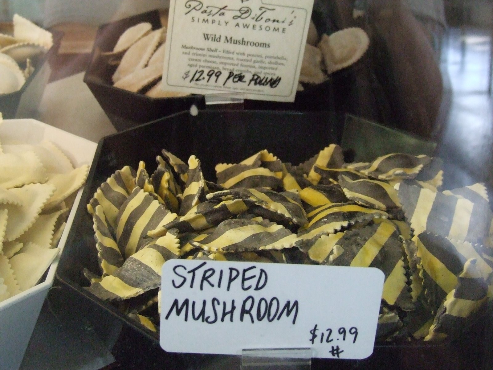 [Striped+mushroom.JPG]