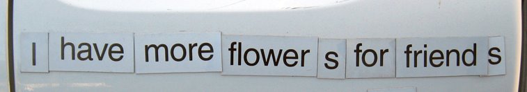 [MOre_flowers_08_web.jpg]