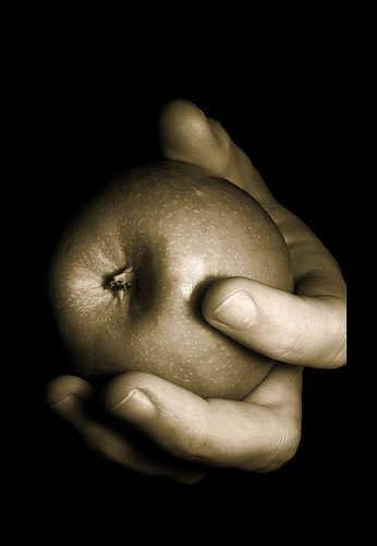 [apple+in+hand.jpg]