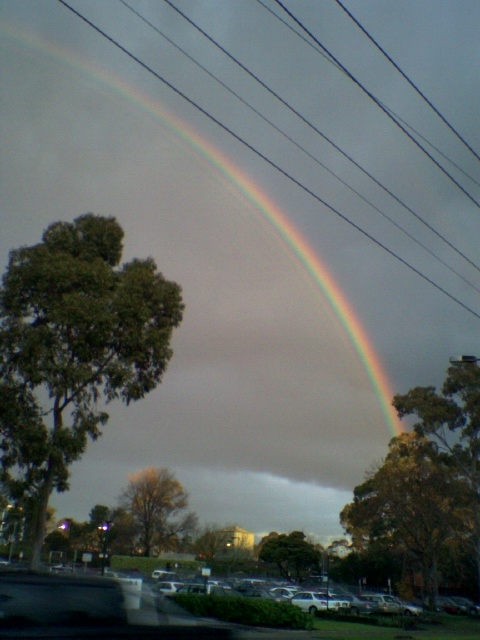 [Rainbow.JPG]