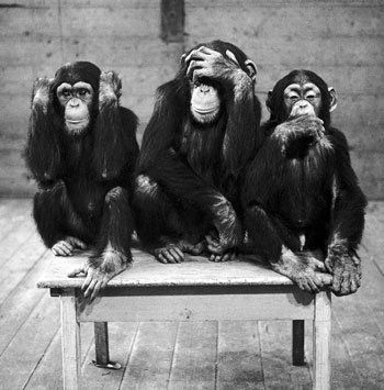 [three-wise-monkeys-c11765657.jpg]