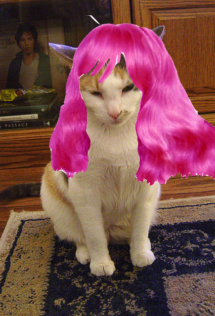 [willow+pink+hair+dare.jpg]