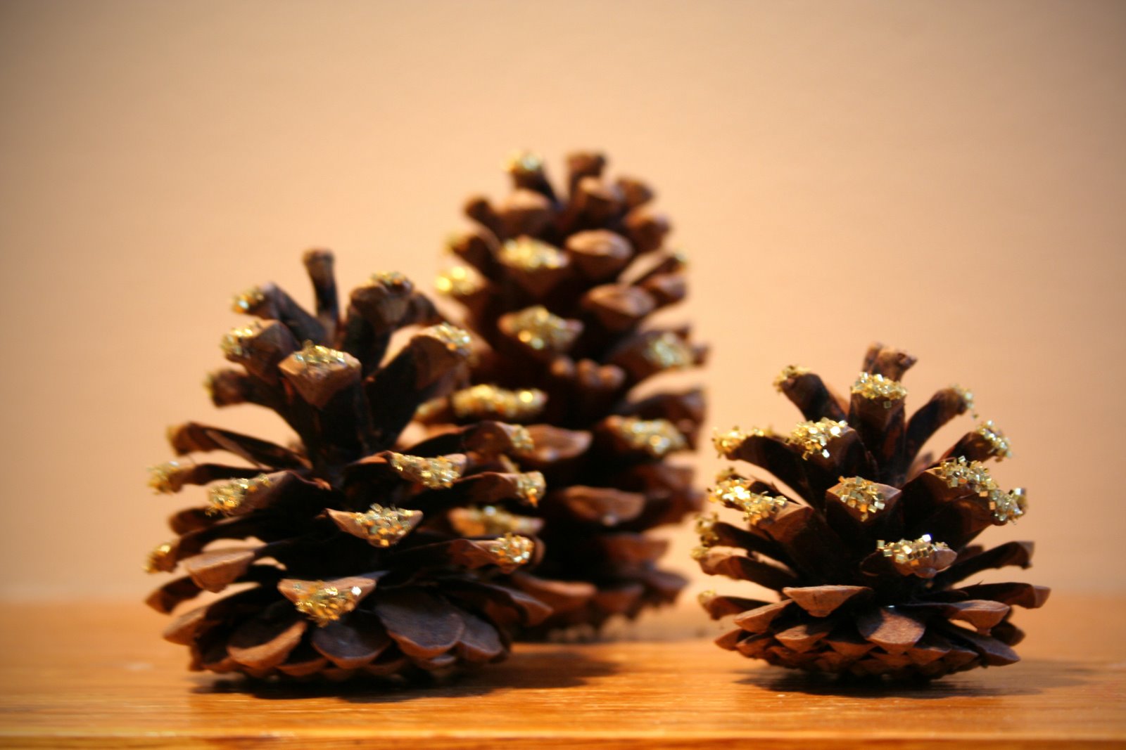 [pinecones+(2).JPG]