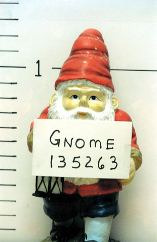 [gnome.jpg]