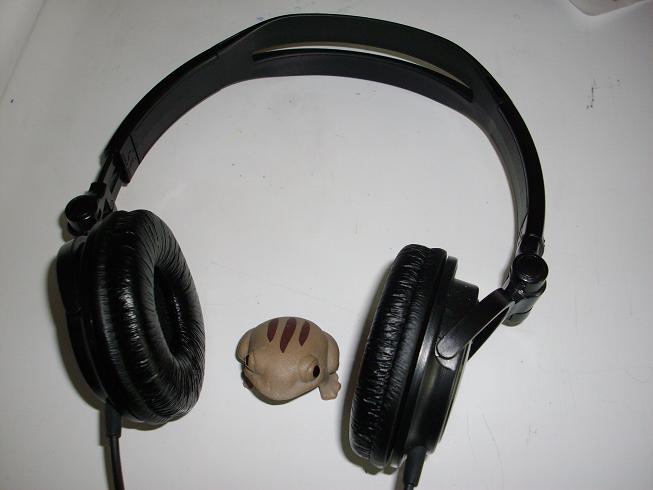[grenouille+headphones.JPG]
