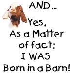[Born+in+a+barn+goat+funny.jpg]
