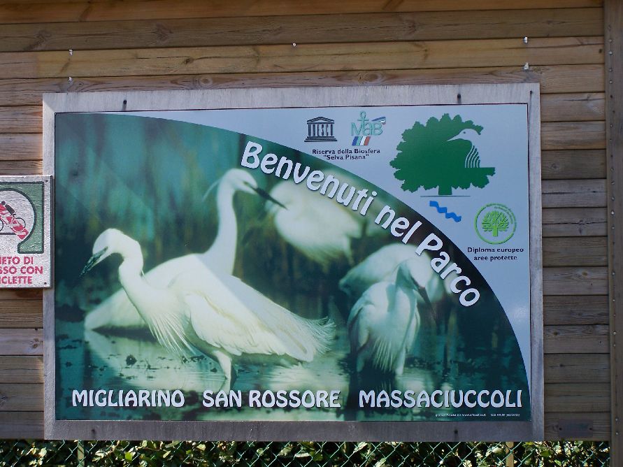 [1-Parco+Naturale+Migliarino+-+San+Rossore+â€“+Massaciuccoli..JPG]