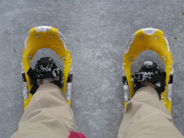 [Snowshoes.jpg]