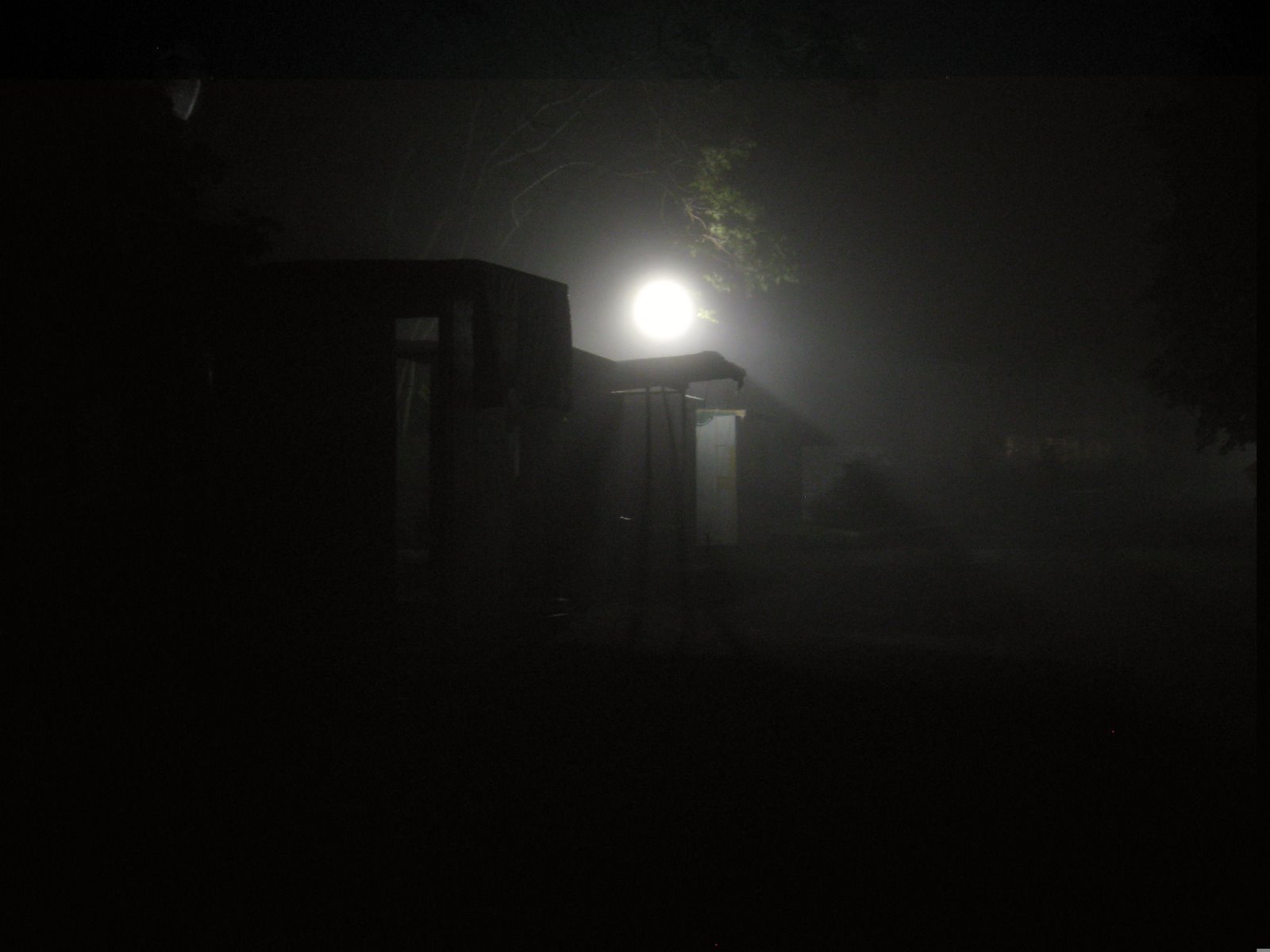 [Habitats,+Kamp+Maykr.+foggy+night+010.JPG]