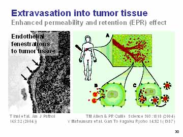 [10.+Extravasation+into+tumor+tissue.jpg]
