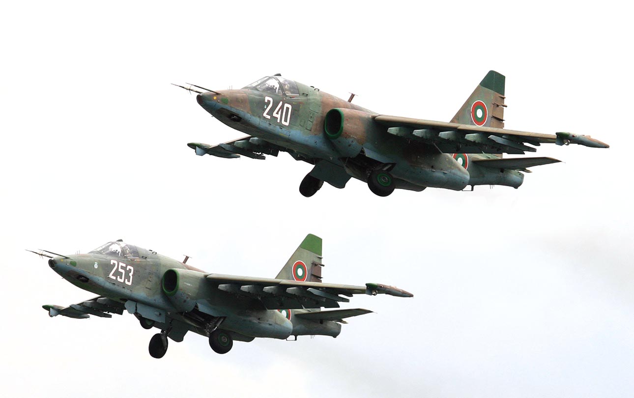 [Su-25(28a).jpg]