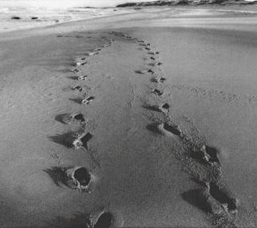 [meus+passos+na+areia.jpg]