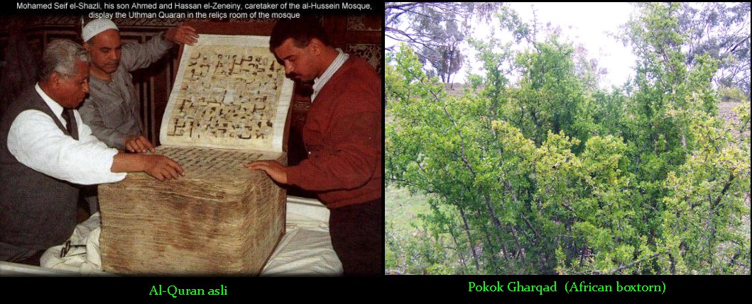 The Holy Quran & Gharqad Tree