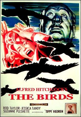 [Movie+Poster+Alfred+Hitchcock+The+Birds.jpg]