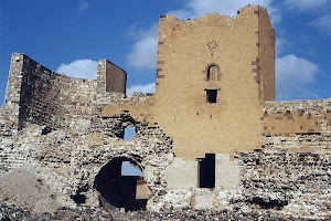 THE WEST ARMENIAN OLD SAINT CAPITAL: ANI 9
