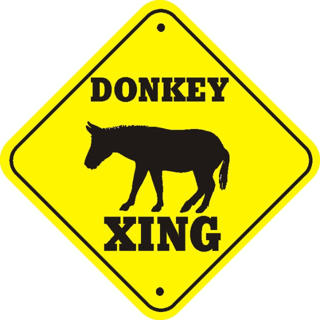 [donkey+xing.jpg]
