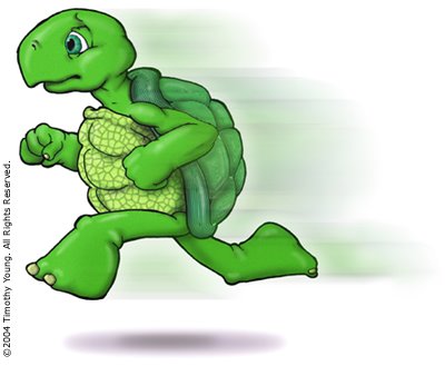 [running+turtle.bmp]