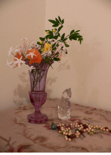 [jasmine+in+vase.gif]