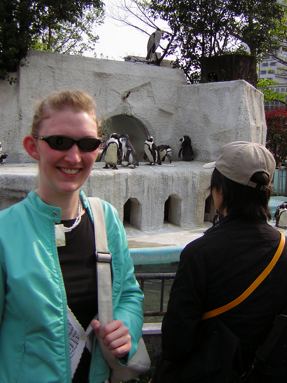 [Me+and+Penguins.JPG]