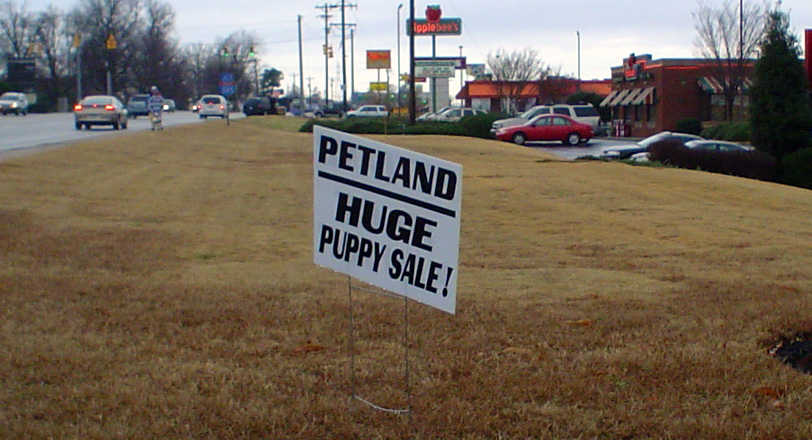 [Huge+Puppy+Sale.jpg]