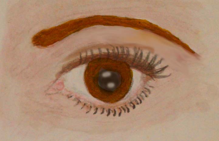 [brown+eye.jpg]
