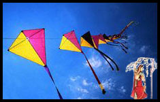 [rajasthan-kite-festival.jpg]