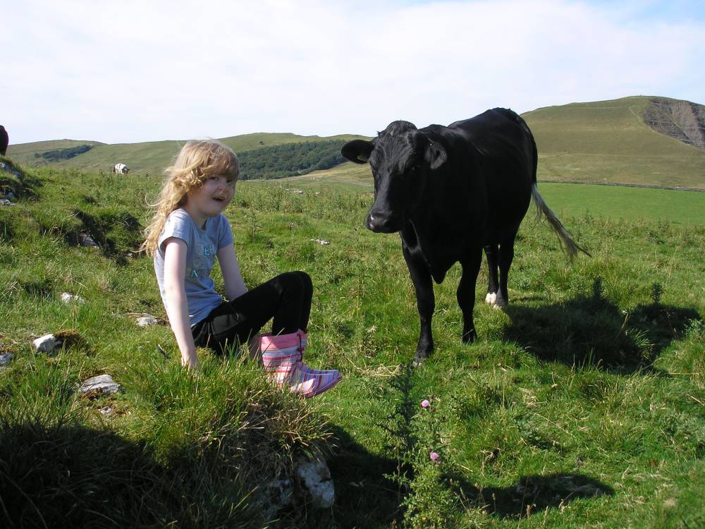 [ffion+and+the+cow.jpg]