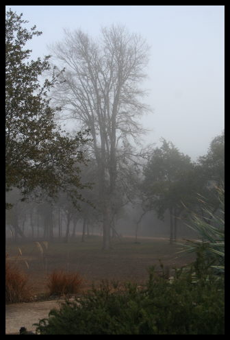 [Lakeway+Fog.jpeg]