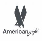 [American+Eagle+logo.jpg]